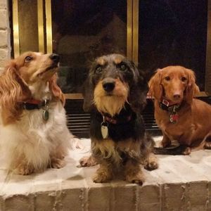 Meet your Posher, Brigitte